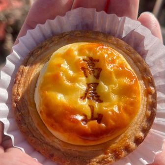 チーズタルト🥧🤤