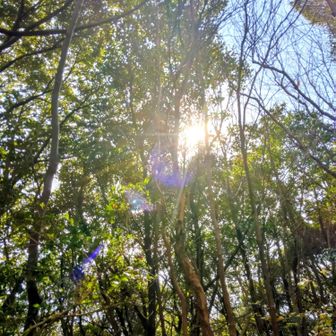 太陽もお出迎え🎊✨