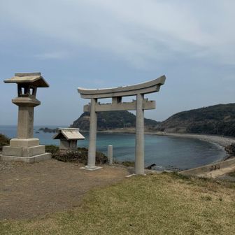社の近くに自販機ありました。