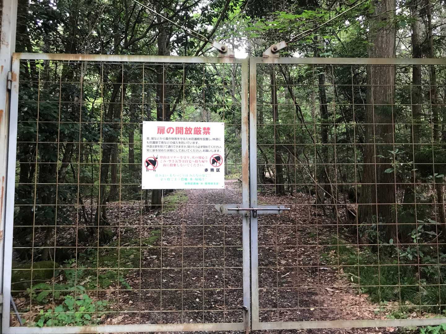 獣用防止策を開けて入ります😊