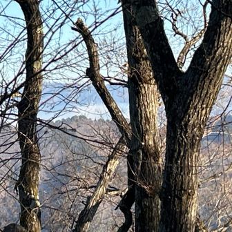 大月・上野原の山火事現場。かなり広範囲に煙が上がってました。