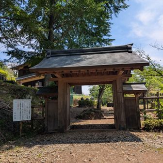 山門です。奥にはふれあい館という施設もお城の様な建物になってました。