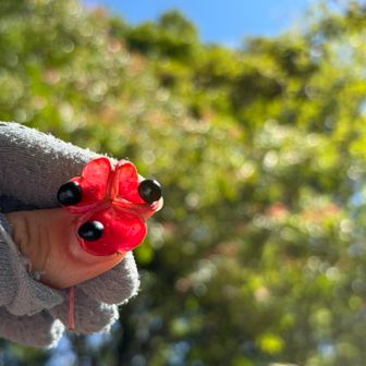 これを撮影💦　ゴンズイの花🌸

ゴンズイの木をバックに