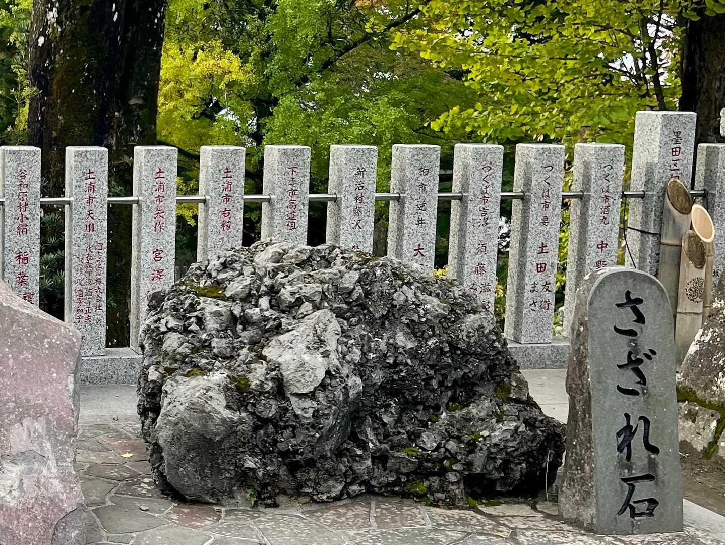 君が代のさざれ石とは、、
これの事なのね🤭