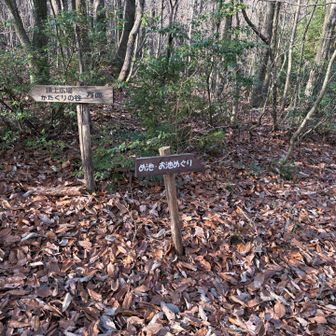 今日はめ池・お池めぐりに行ってみよう👍