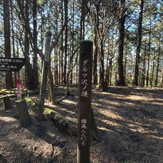 ここからタケ山に向かいました
ちょっと迷いましたが、すぐに登山道発見
九十九折りのちょっと急
