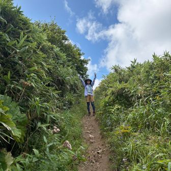 素敵な高山植物がいっぱい！