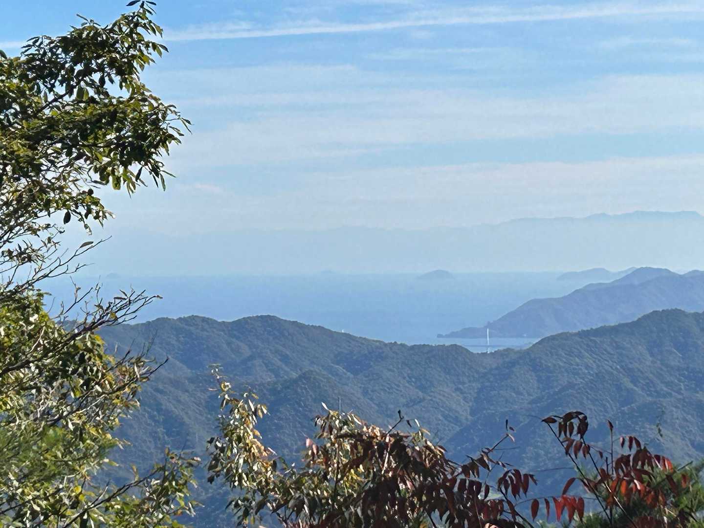 龍王山 往復コースの写真