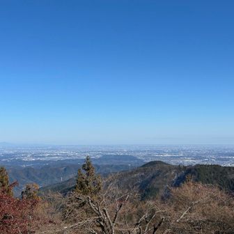 神社から東京を中心とした街がよく見える