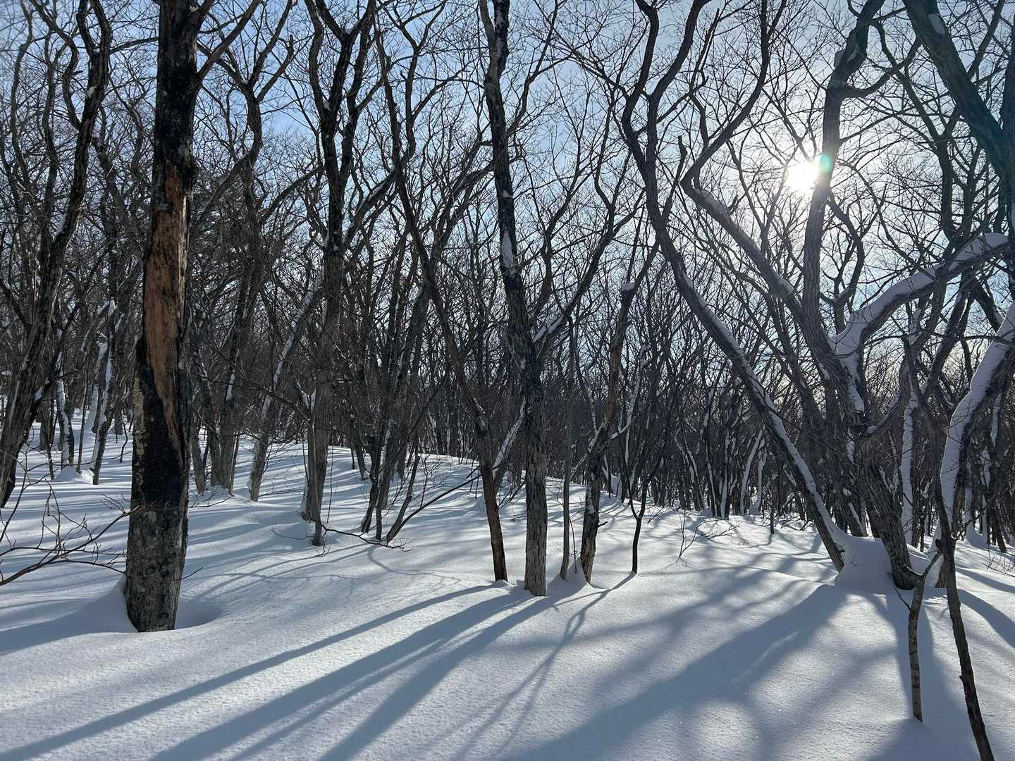 涼やかな沢音と水神の碑を抜けて、仙台平野を見渡す泉ヶ岳の定番の写真