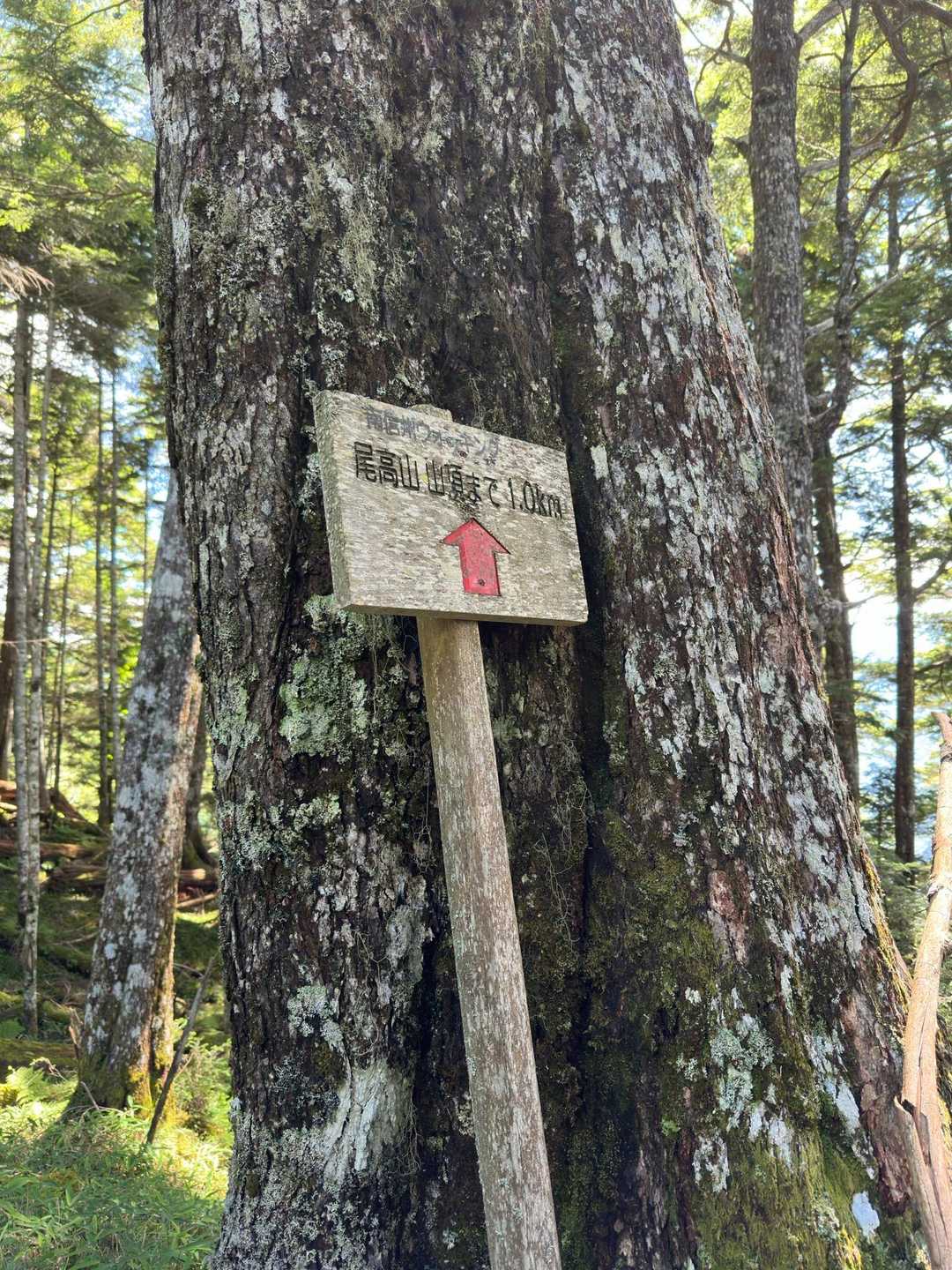 頑張るぞ💪