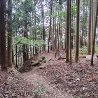 猿石…大きくね…
人と同じぐらいやん。