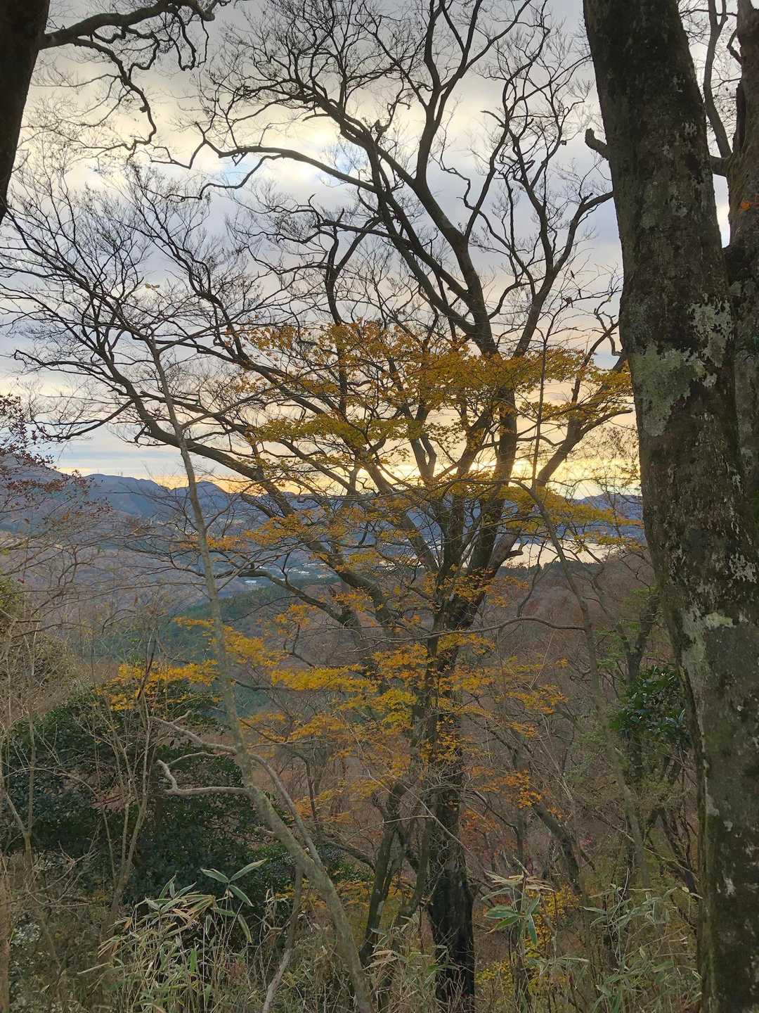 湖尻峠-三国山 往復コースの写真