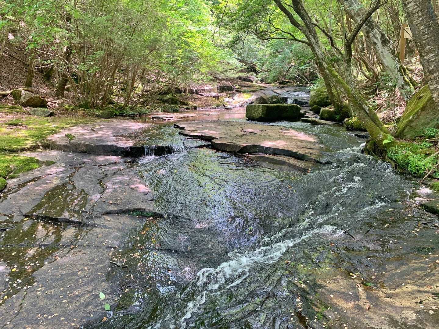 【るり渓】清らかな水の流れと岩や淵が織りなす豊かな景観の写真