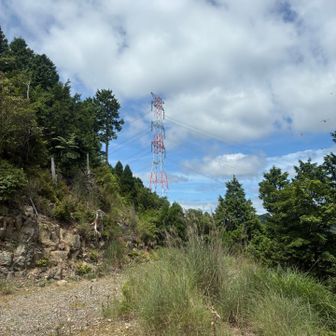 林道に出た