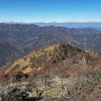 菅生方面に下る