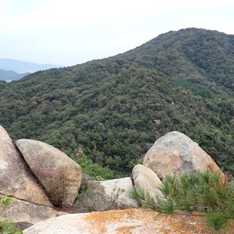 NEXT亀尾山（大海山）