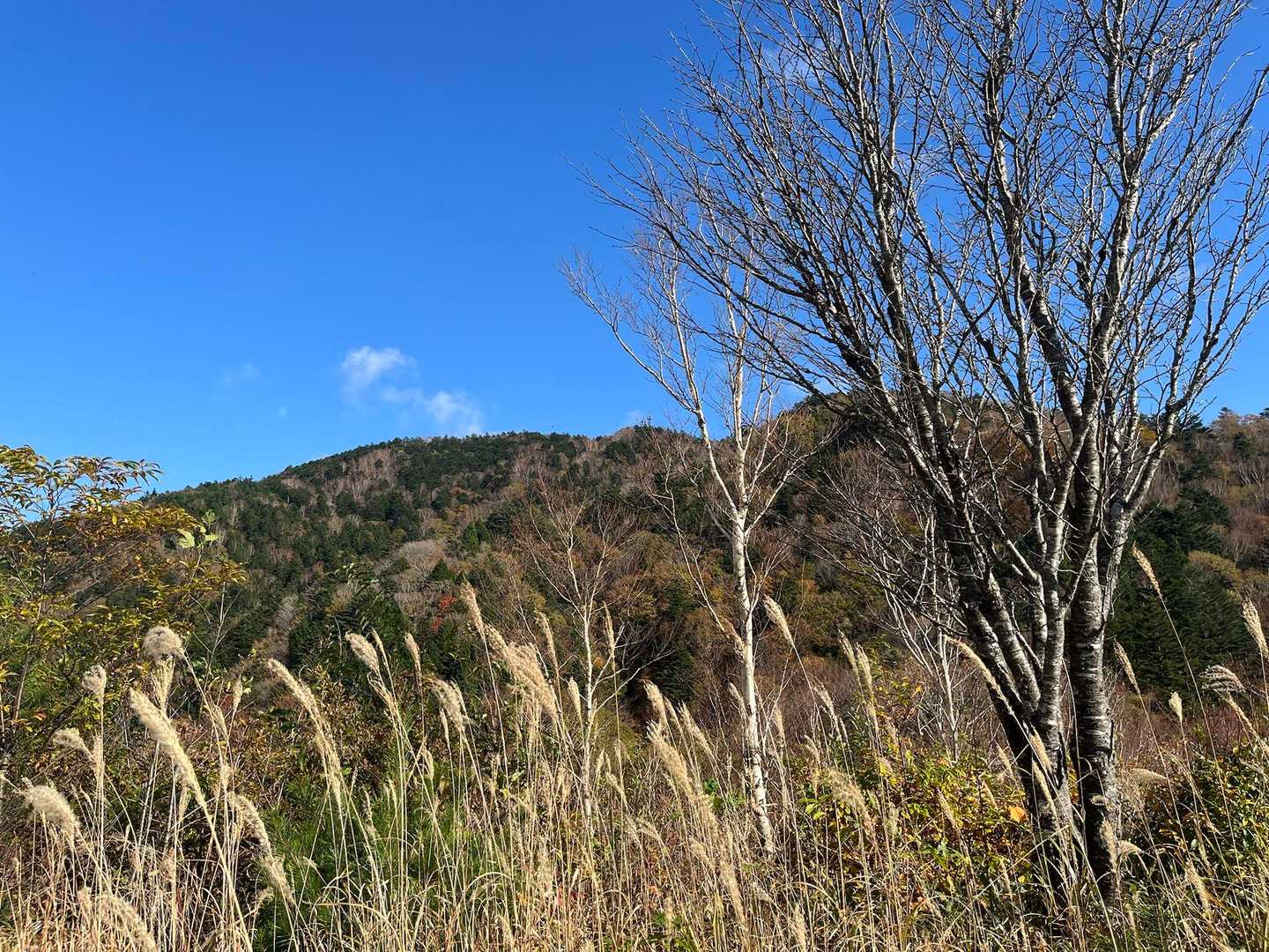 すっかり秋ですね🌾