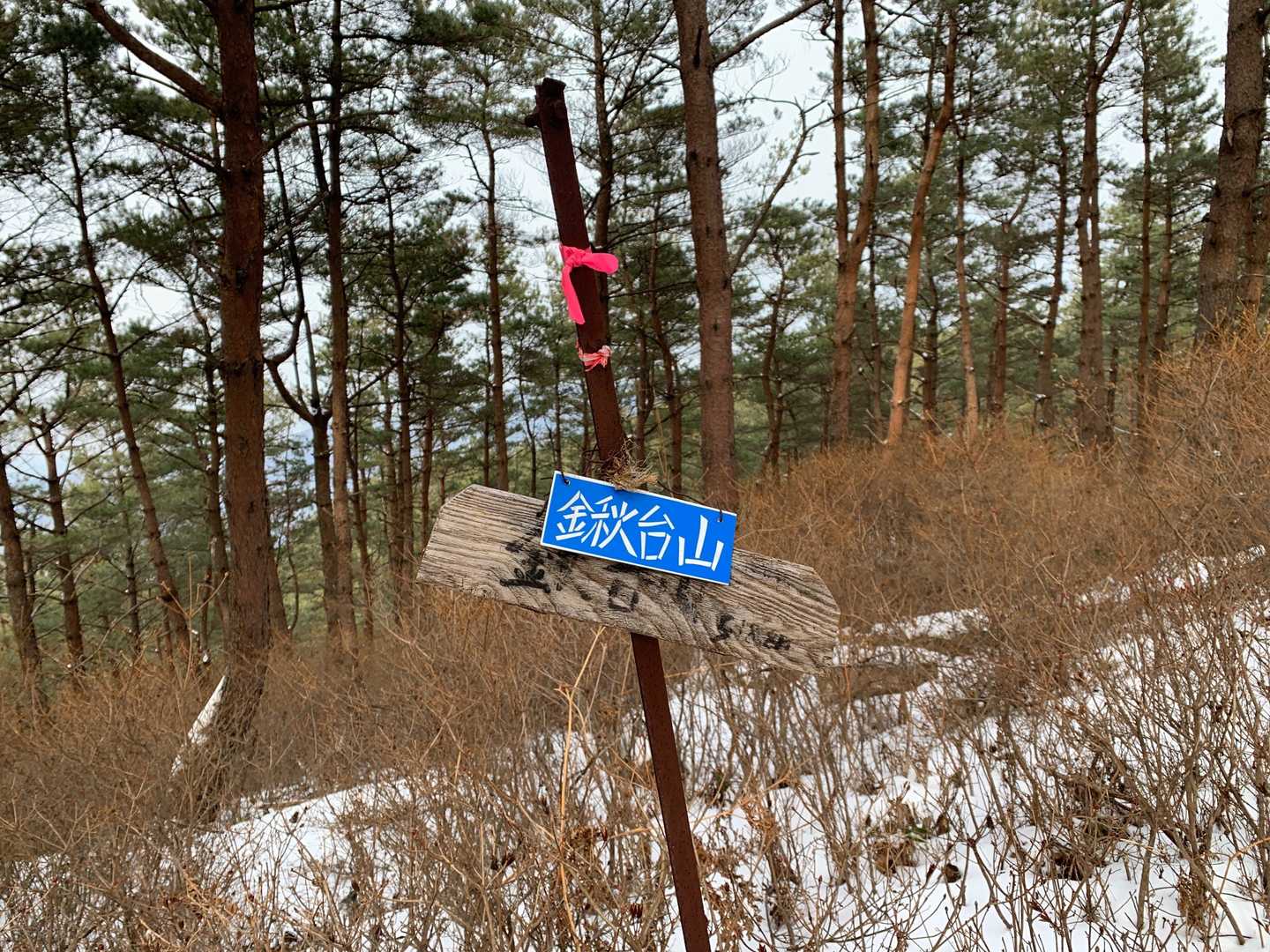 鍬台山の写真