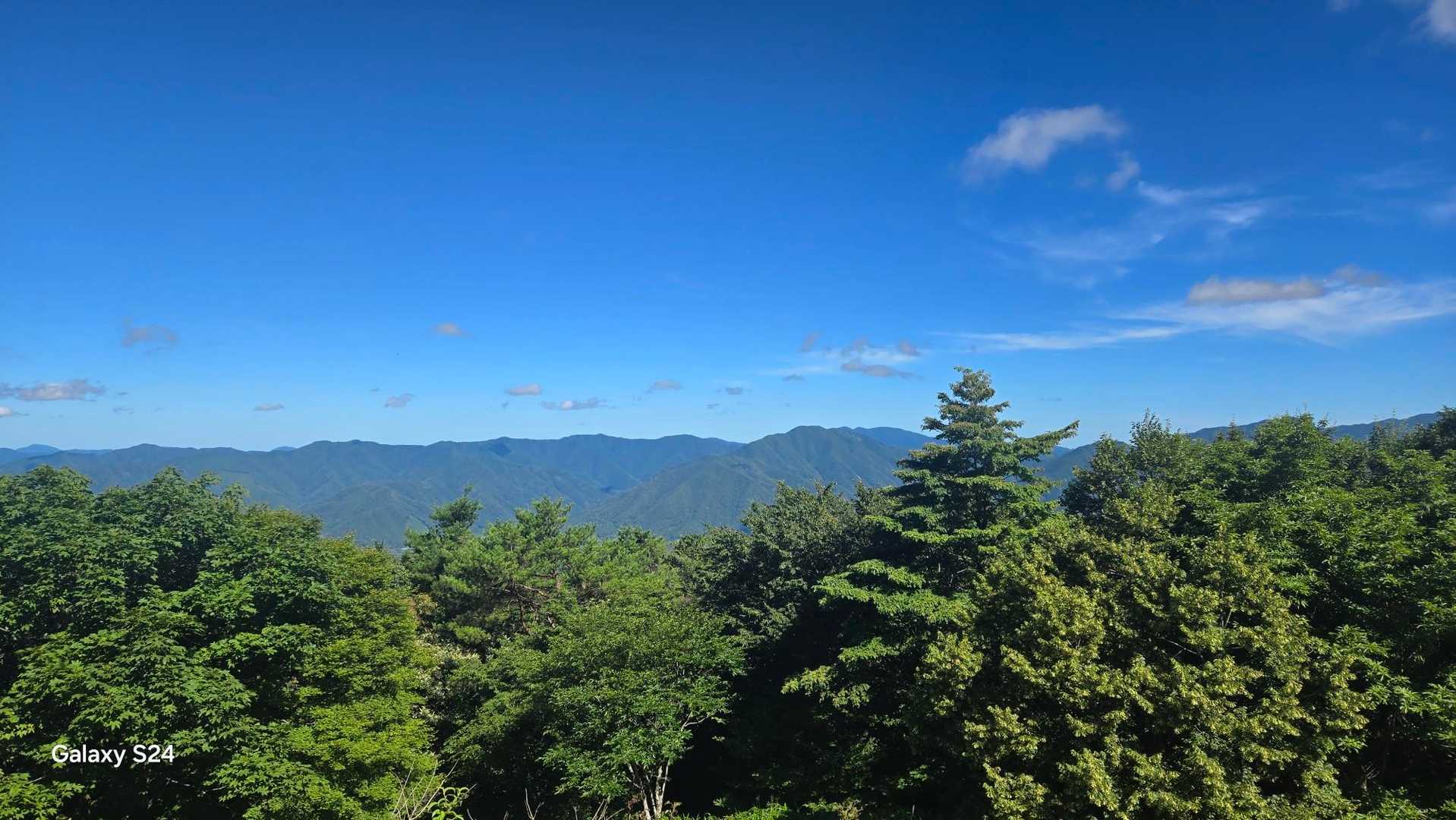 からのビュー