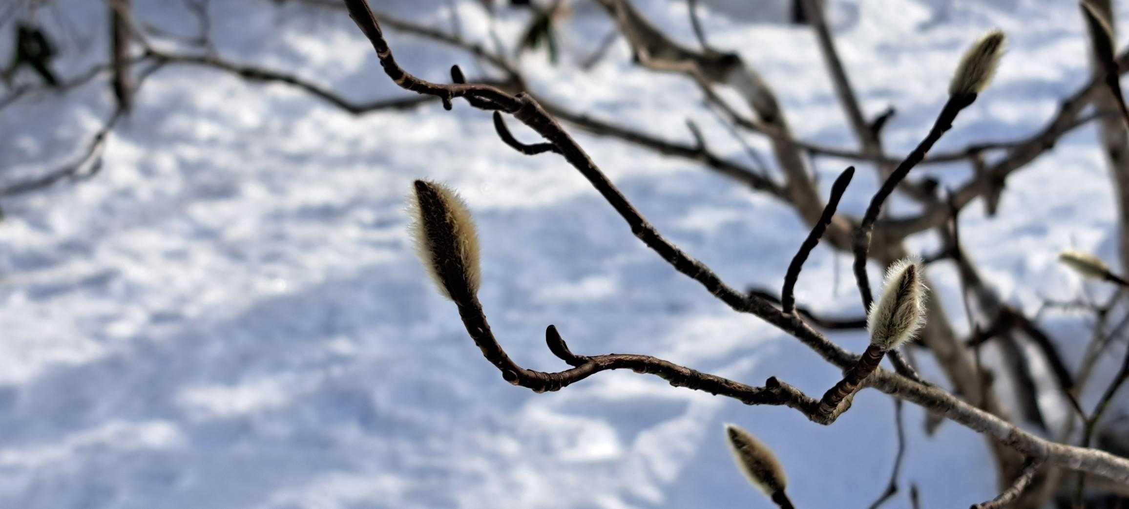 お目覚めにはまだ早い😪