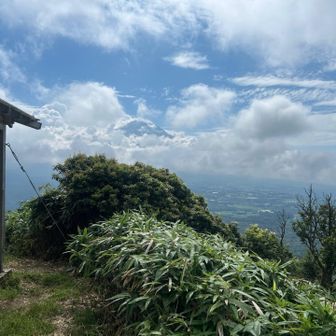 東屋からの眺め。富士山ちょいと顔出し。