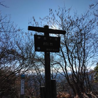 山頂から西吾野駅まで下る
といってもアップダウンあり、歩き応えあるのは承知