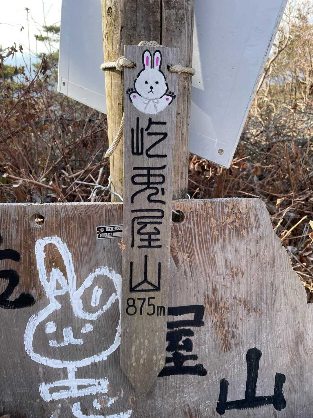 こちらも