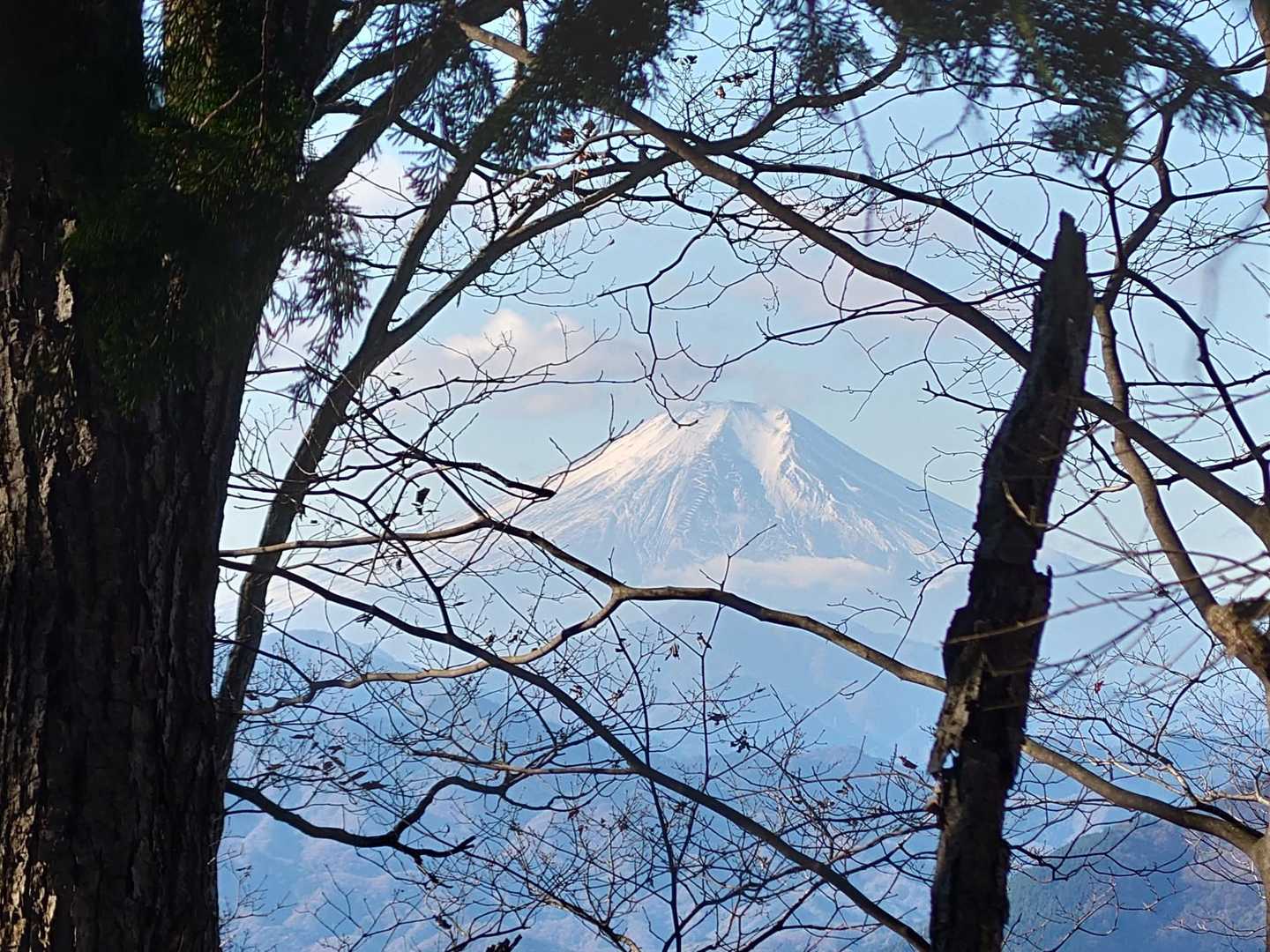 この時は綺麗に富士山が見えていました。