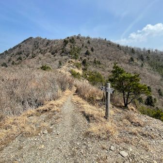 目の前が西赤石山かな？