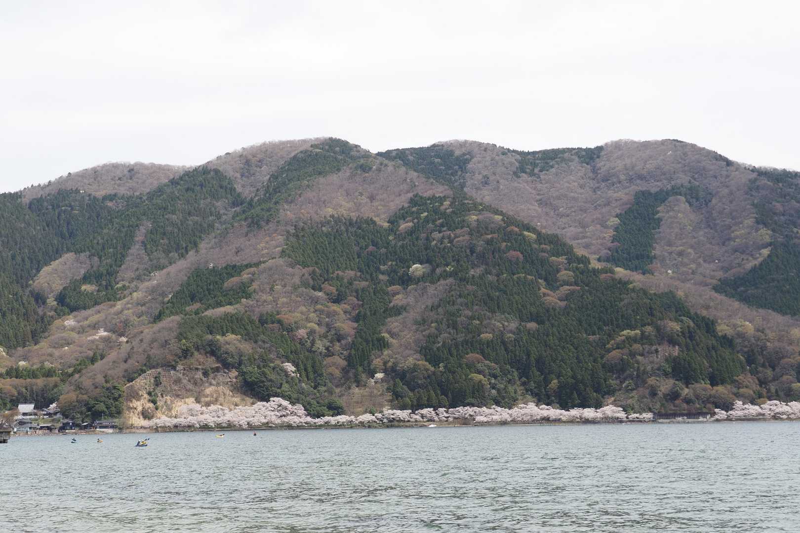 永原駅-万路越-峰山-東山-東山登山口-マキノ駅 縦走コースの写真
