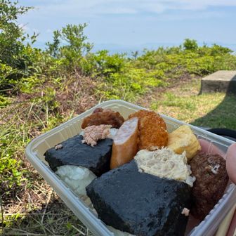 みんながお腹すいたすいたと言うので、早速お昼ご飯！作ってもらったお弁当だったり、私はローソンのおにぎり弁当最高です