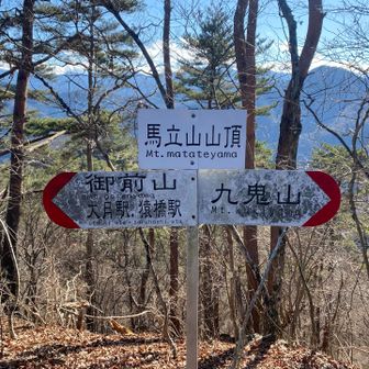 『またてやま』