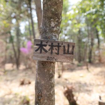 木村山 山頂  200ｍ