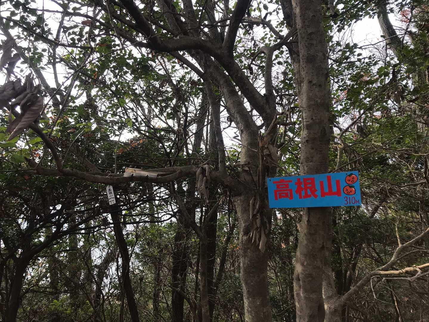 高根山⛰到着