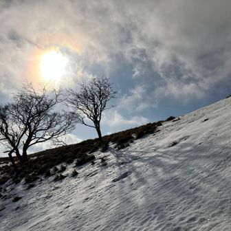 太陽はいつもサイコー👍