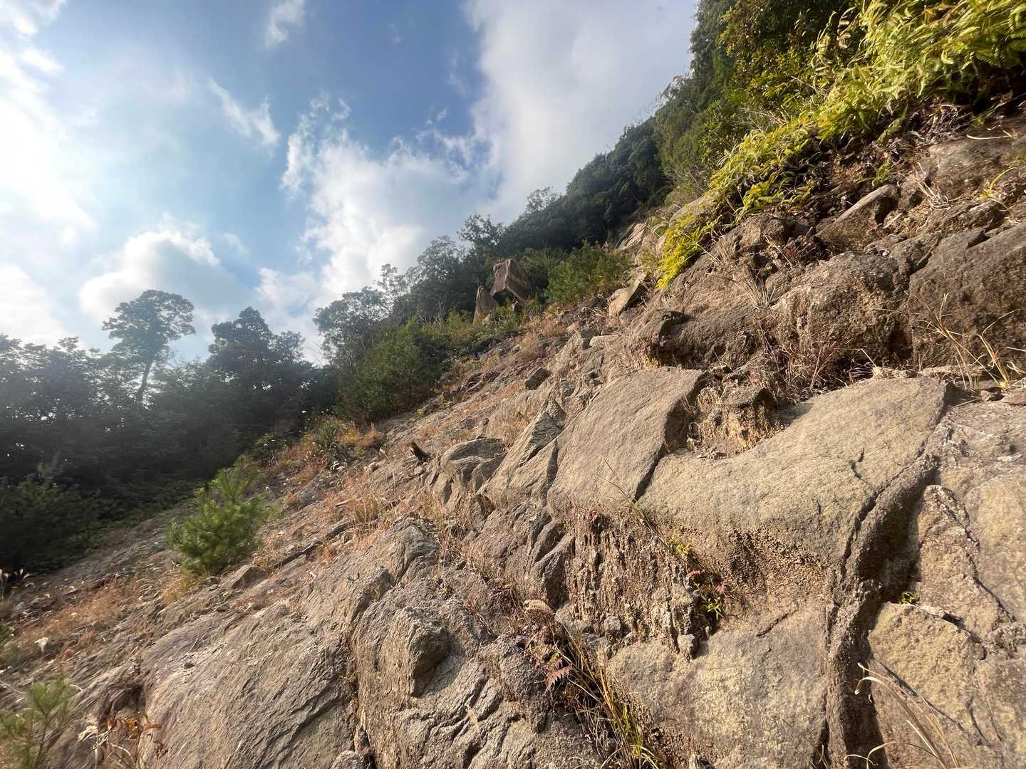 刀剣山1峰 周回コースの写真