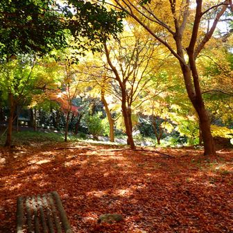 無事降りてきた