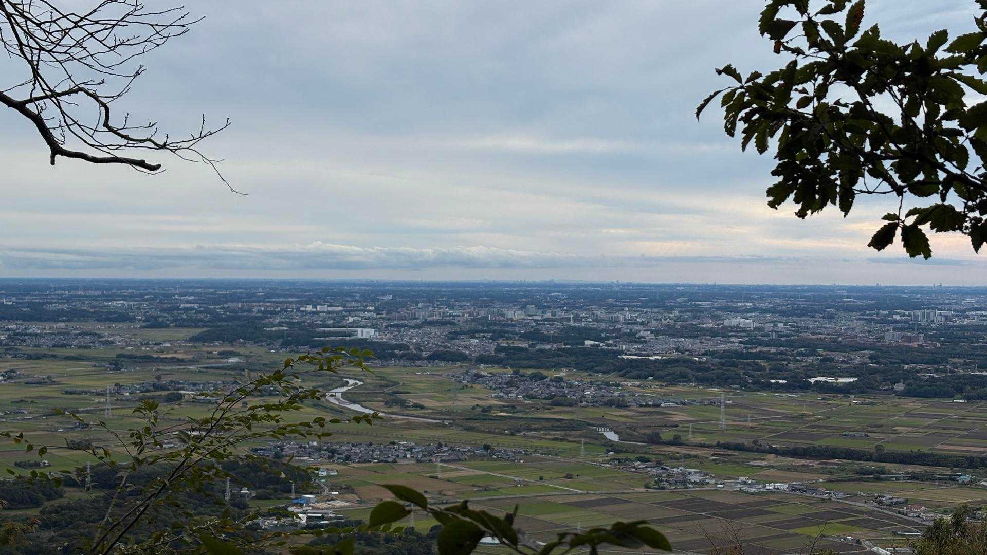 スカイツリーが見えたよ〜