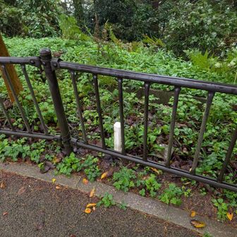 いつもの日和山の山頂