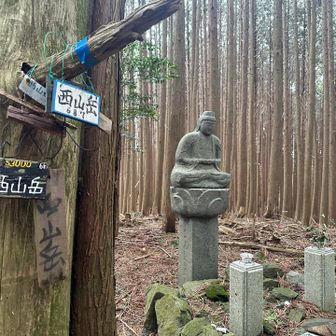 あっと言う間に頂上です