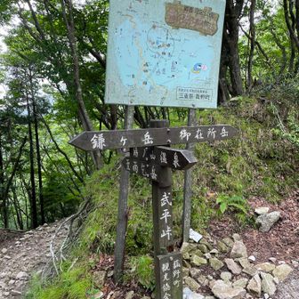分岐まで降りてきた。