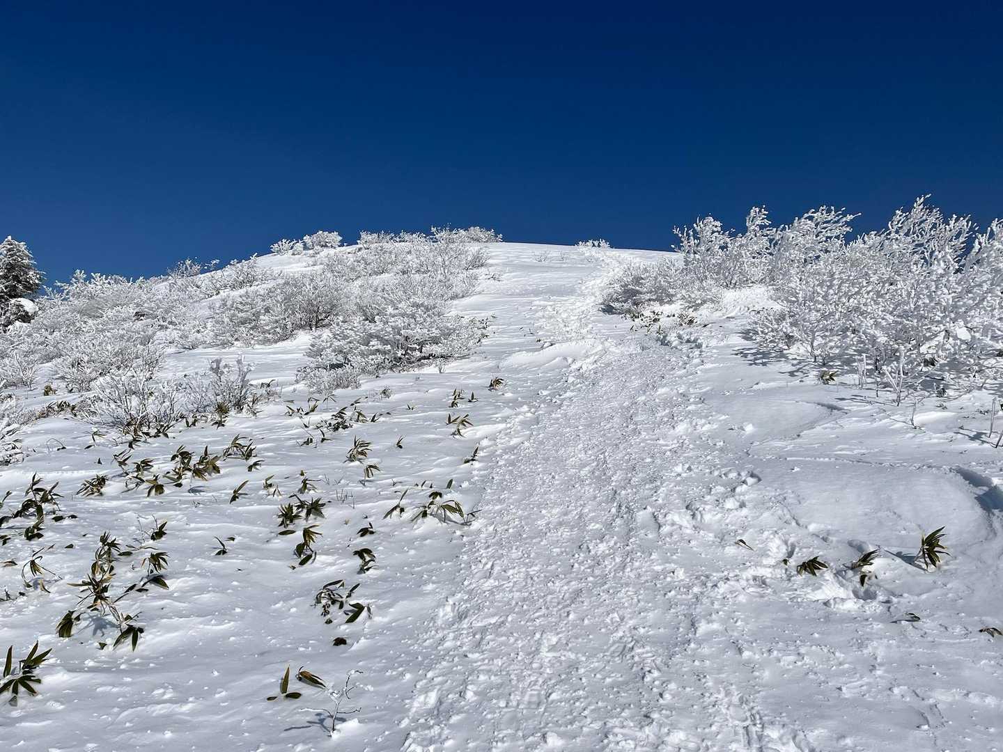 剣ヶ峰山往復 | スリルと爽快の天空縦走。リフトで上がる2000mの極上稜線の写真