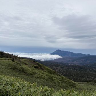 見えたら登りたくなりますね　岩手山⛰️
帰りの時間もあるので、ショートカットして八幡平山頂レストハウスに戻ります