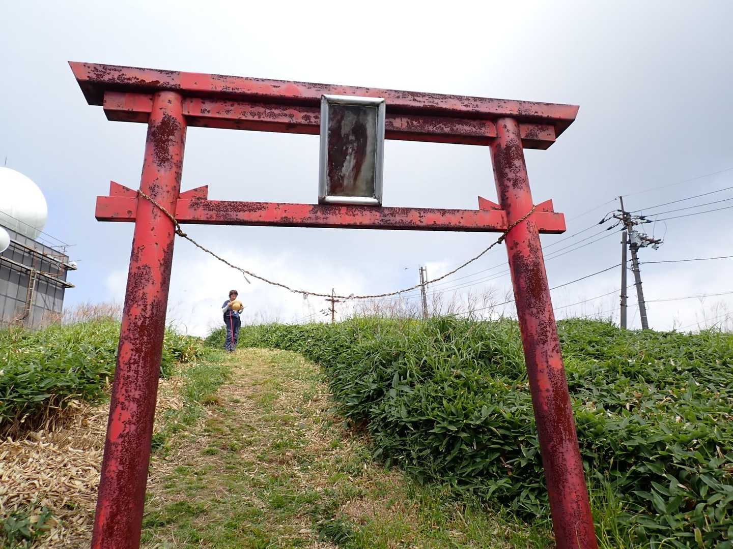 中津山 往復コースの写真