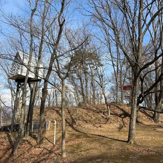 他にもいくつかツリーハウスがありました