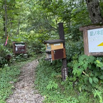 無事下山です♪
この後12:30発の信濃大町行きバス🚌に飛び乗ったけど、結局13:40発の長野行き🚌まで待っても帰り時間は同じか、むしろ早いくらいだった・・