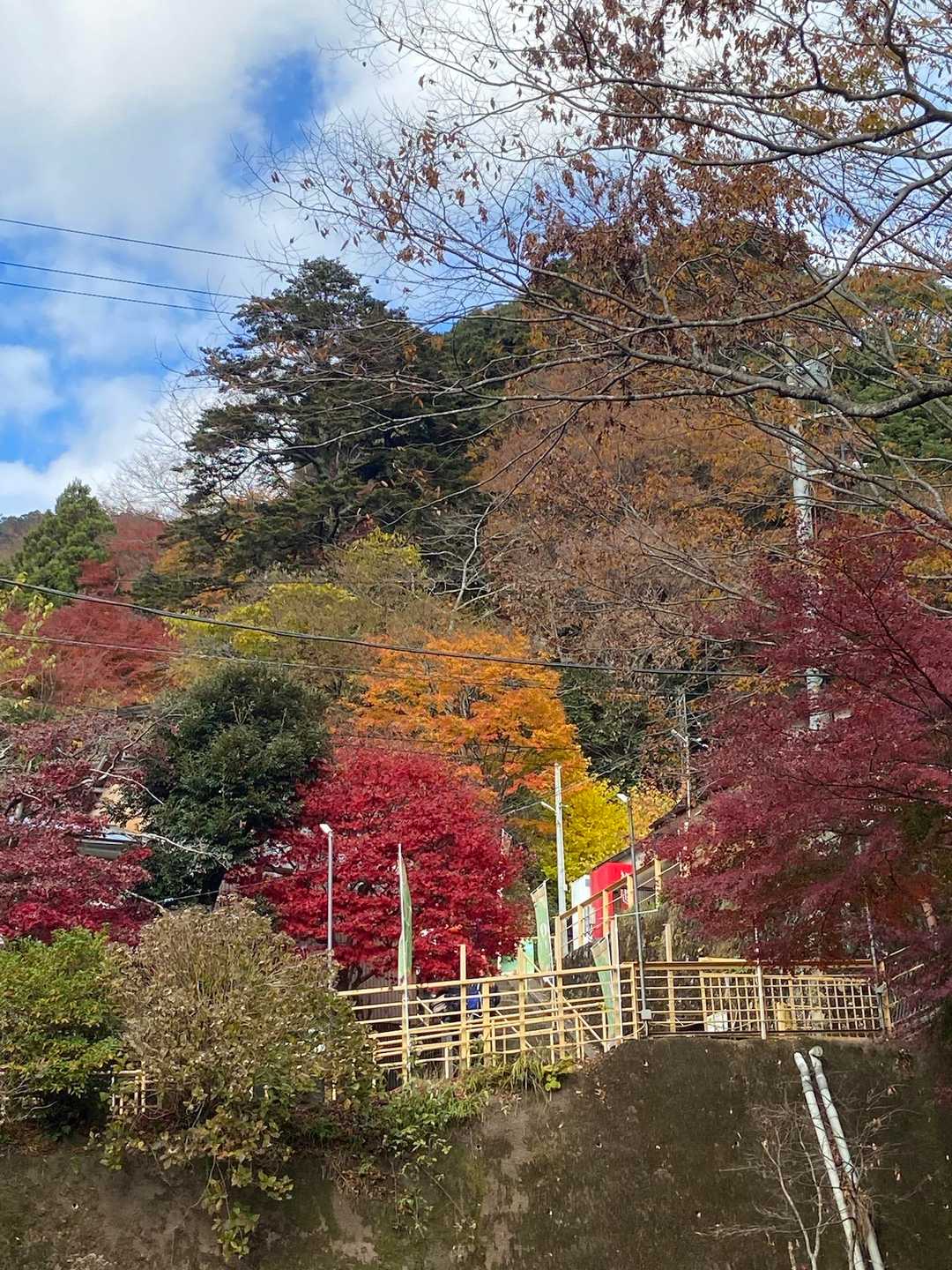 この辺りは紅葉真っ盛り