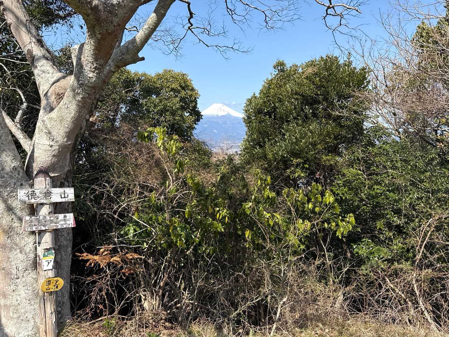 隙間から富士山