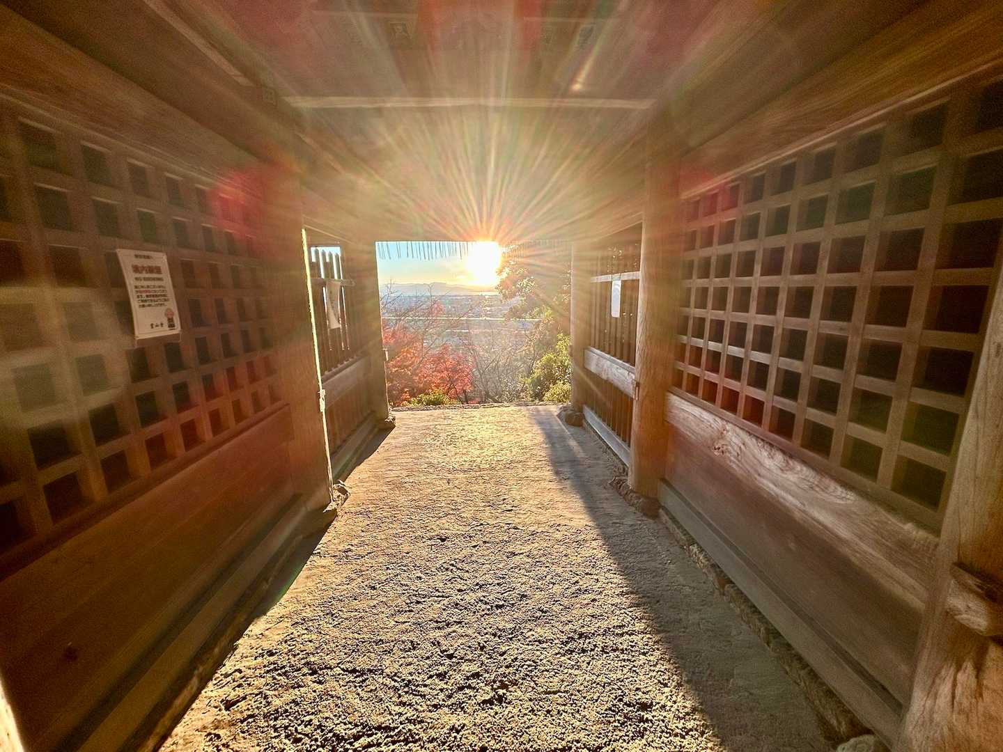 朝日🌅❣️